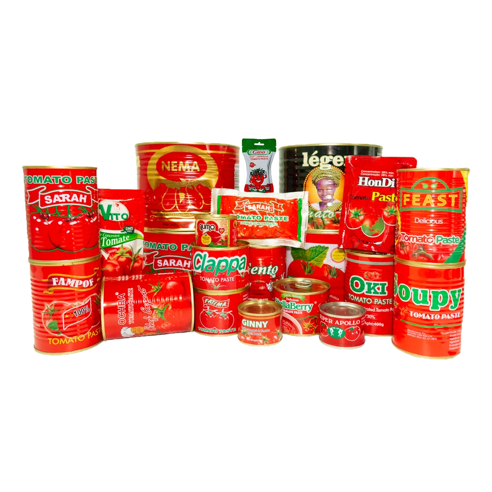 TOP quality concentrate canned tomato paste Factory  brix28-30% 400gX24tins