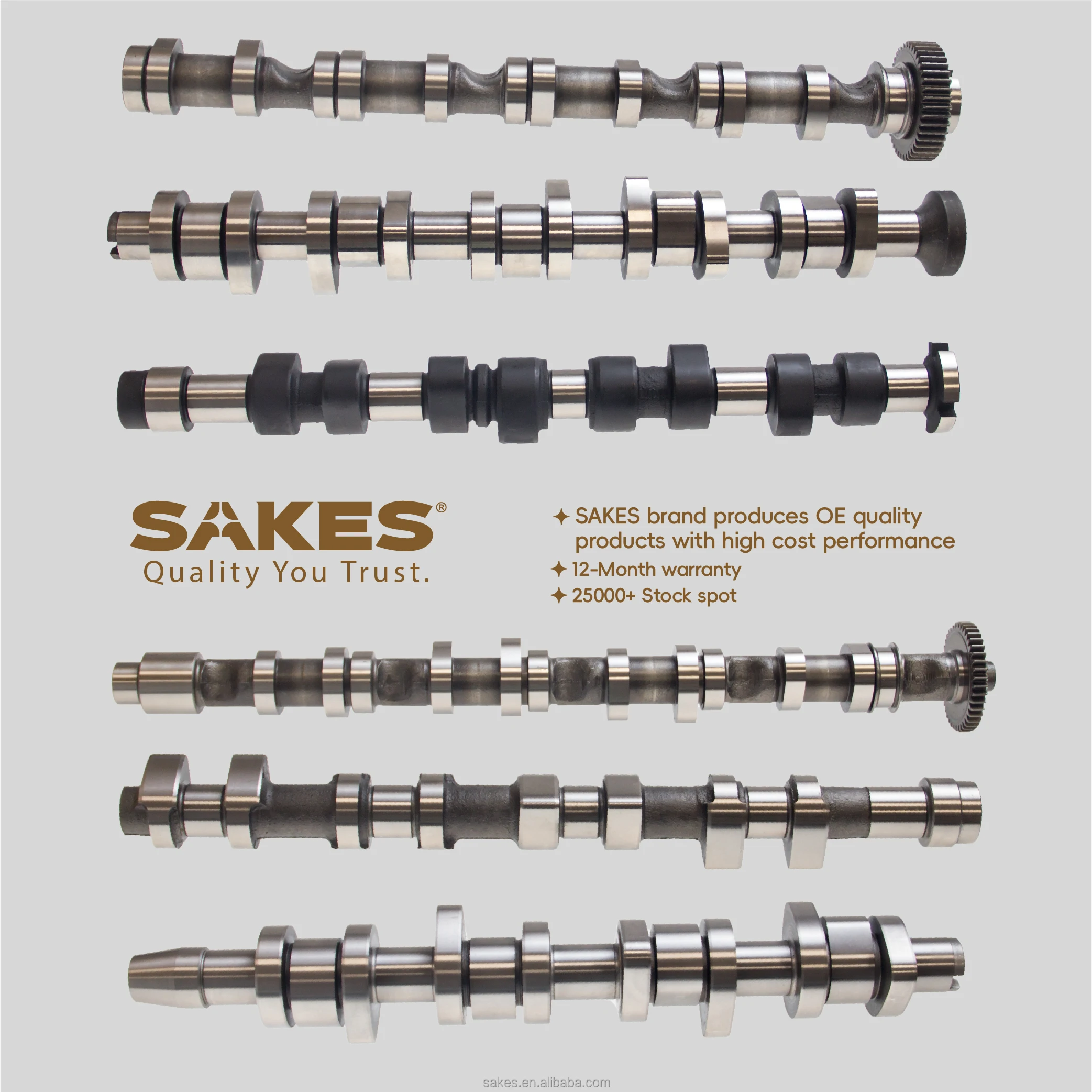 Cheap price SAKES 2024 hot selling OE 038 109 101 R car camshaft for V.W or AUDL supplier