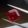 Sangre de paloma