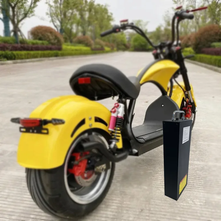 60V 30Ah Lithium Ion Battery Pack for Electric Scooters & Citycoco ...