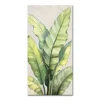Green:MC163745A