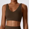 Reggiseno marrone