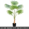 Plantes vertes 9