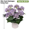 50cm(1.6ft) Purple Silky Touch Hydrangea Potted Plant