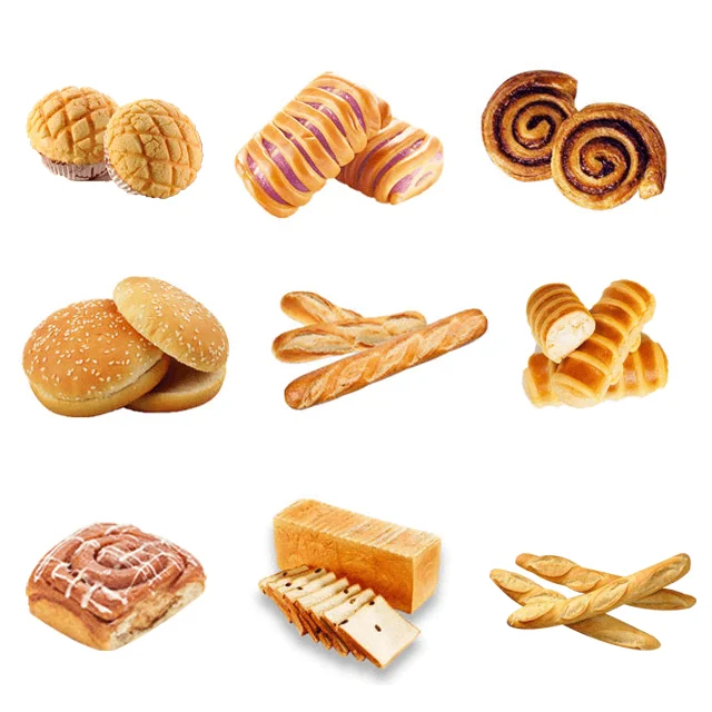 Chengtao Commercial Bread Machine Multifunction for Toast baguette Bakery Bread Making Machine