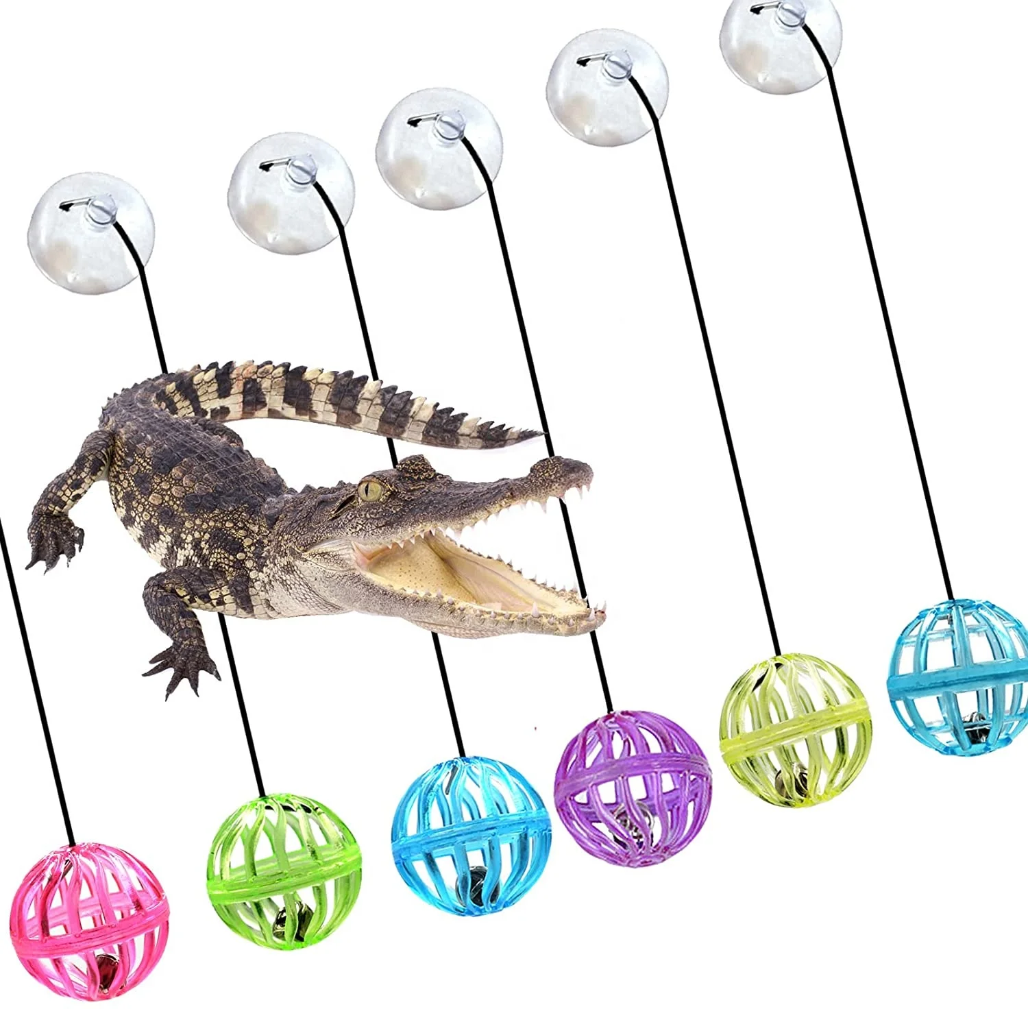 7x brinquedo sino bolas com ventosa e corda suprimentos para animais de  estimação lagartos répteis brinquedo
