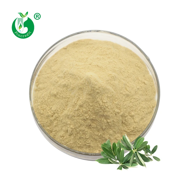 Экстракт листьев оливы эрсаг. Egcg экстракт листьев оливы. Экстракт olive leaf. Экстракт оливковых листьев. Олива листьев экстракт вис капс 0.