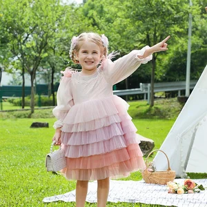 Fall Spring Long Sleeve Boutique Kids Party Dress Layered Pink Tulle Dress for Baby Girl