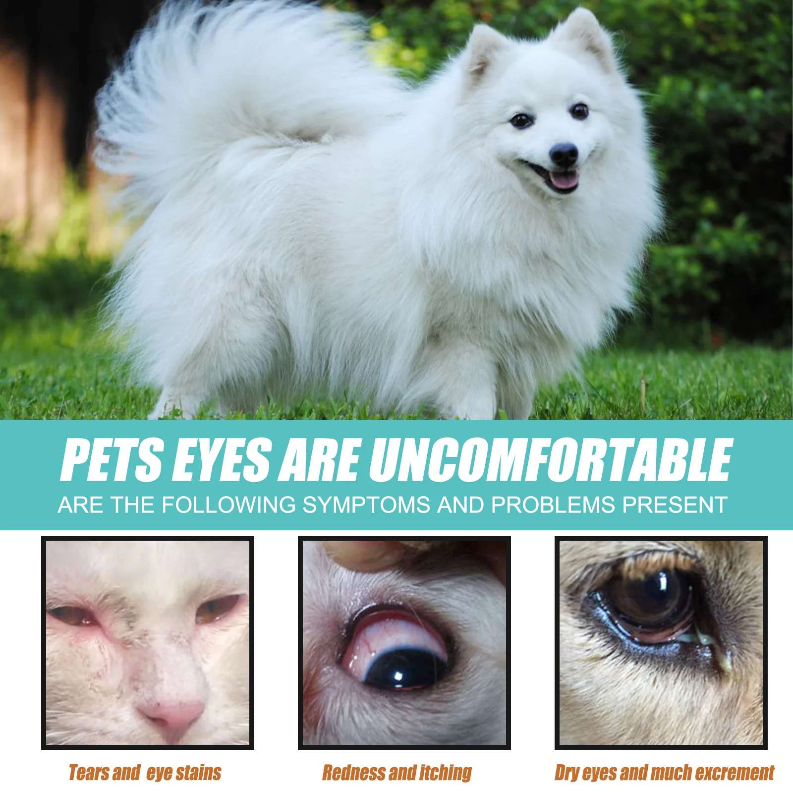 Tear Duct Serum for Dogs Pet Topical Eye Tear Stain Serum for Cats