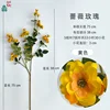 Rosa, Amarillo