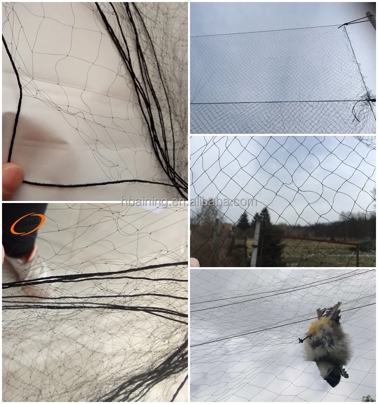 Nylon Bird Trap  6m x 2,5m x 16mm  70D2PLY Live bird Trap  Nylon Mist Net/Trap 