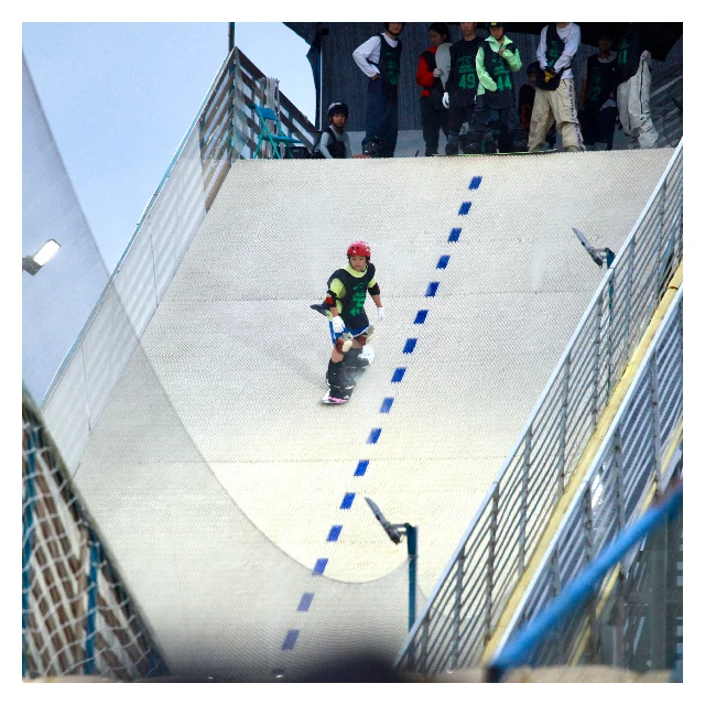 SNOW MONKEY Dry Ski Plastic Snow Mat Simulator Artificial