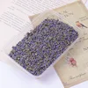 Semi di lavanda (circa 20 grammi)