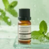 Spearmint