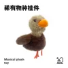 Dark gray-sings learns to speak flaps wings can talk