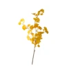Jaune foncé