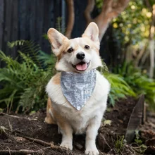 Dog Harness Banana Pet Bib Scarfs Breathable Dog Pet Bandanas Scarf for Daily Wearing Dog Accessories