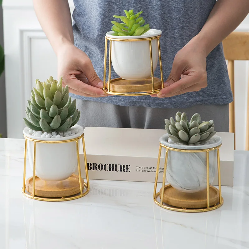 Simple White Creative Succulent Owl with Treetop Bamboo Frame Zakka Combination Potted Ceramic Plant Pots