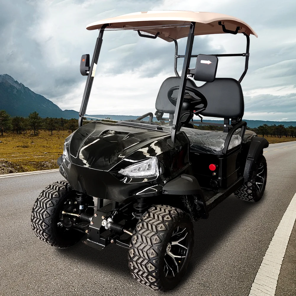 4 Wheel Golf Carts 2 Seater with Bucket for Sale Philippines