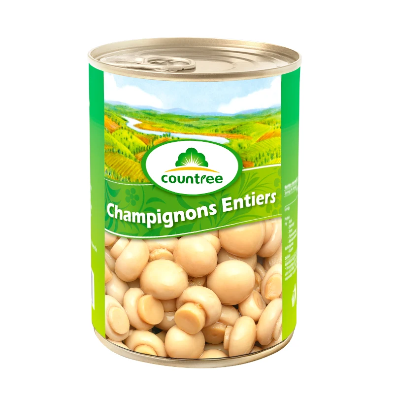 Famous Brand Fresh Canned Vegetables Canned Mushroom Whole With Good Quality