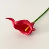 Rojo brillante