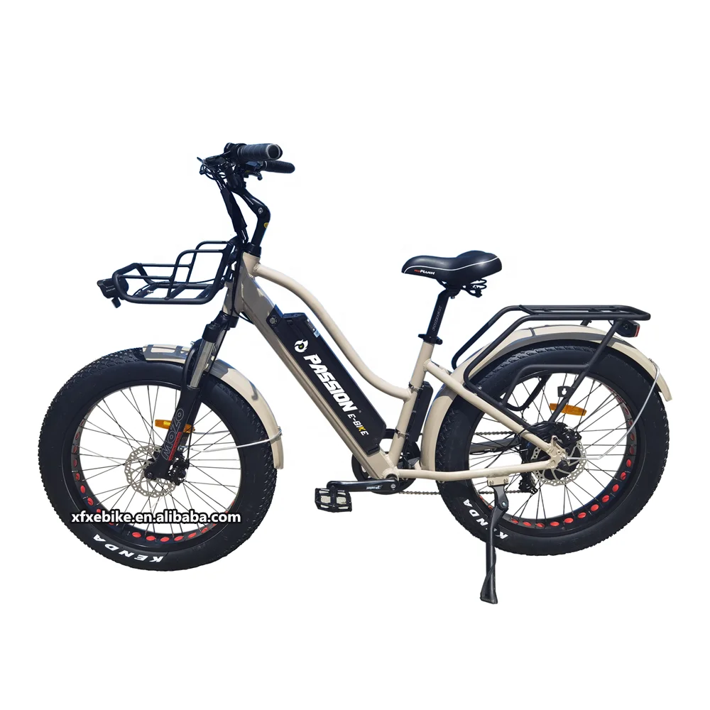 Passion E Bike 24/26 Inch City 48V 500W/750W Beach Cruiser Step Through Fat  Tire Electric Bike Bicycle for Women