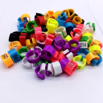 Pigeon Supplies Digital Identification Ring Electronic Plastic Card for Meat Pigeon Marking Pigeon Carrier Ring Ding Do