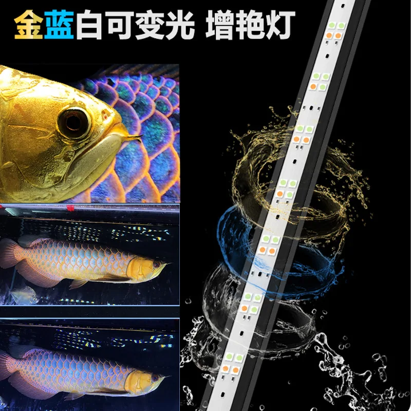 MAYIN Dragon Fish Brightening LED Light for Aquariums - Available