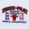 NBA91.92.93 champion bull 11 * 7cm