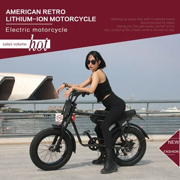 US 7-day Delivery Electric Bike ZX Z1 750W 48V 13 Ah Battery Long