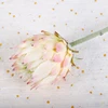Champagne avec du rose