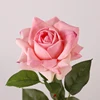 สีชมพู