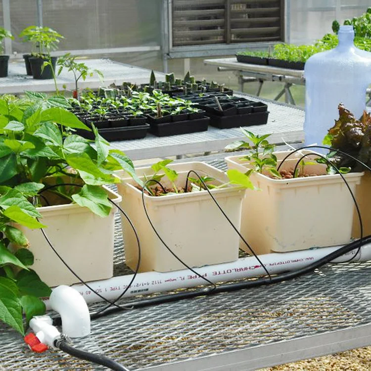 poly pipe irrigation