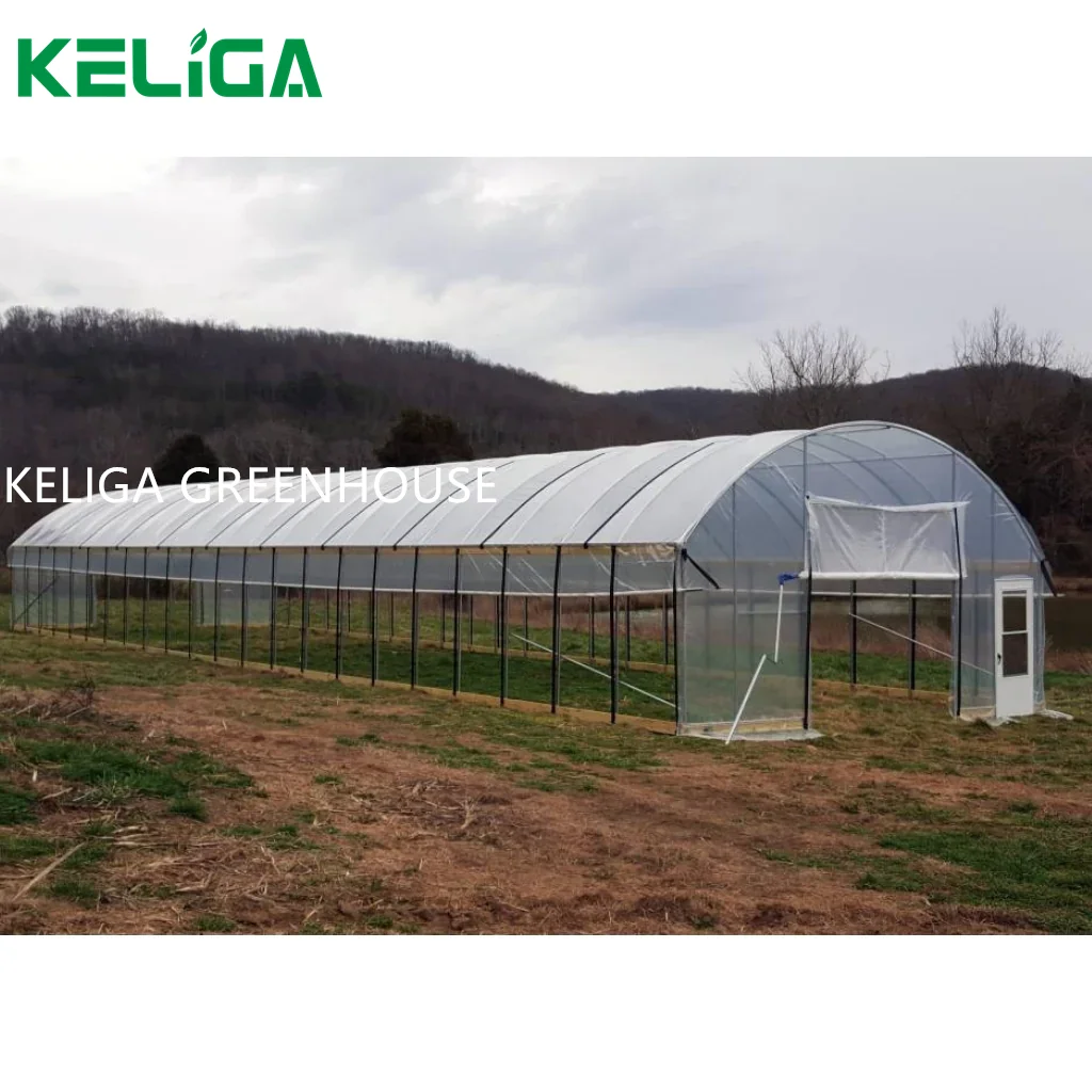 Agricultural Single-span Mental Frame Green House China Low Cost Hot ...