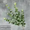 Eucalipto individual de 5 ramas - Verde oscuro