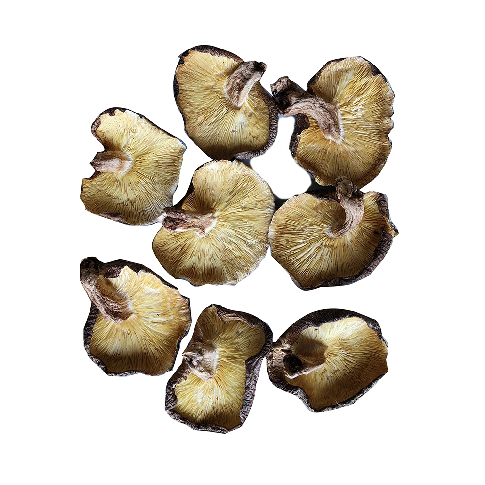 typical delicious dried shitake mushroom dried wholesale with 1