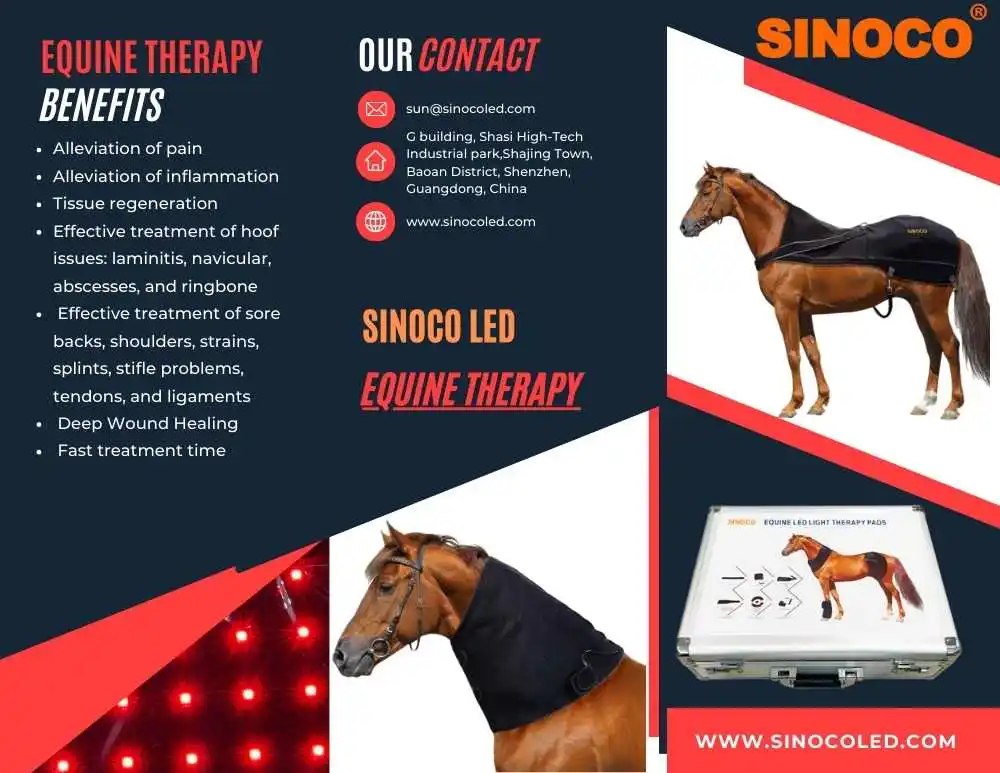 Factory Customization LED Red Blue Infrared Light Equestrian Horse Back Leg Boot Hoof Therapy Wrap Veterinary Instrument