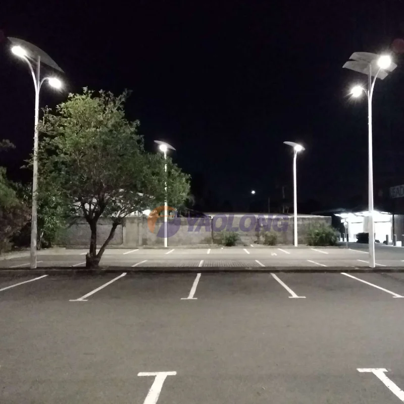 Yaolong 6M 8M 9M 12M Stainless Steel Outdoor Led Solar Garden Street Light With Poles Iron Road Lamp Pole