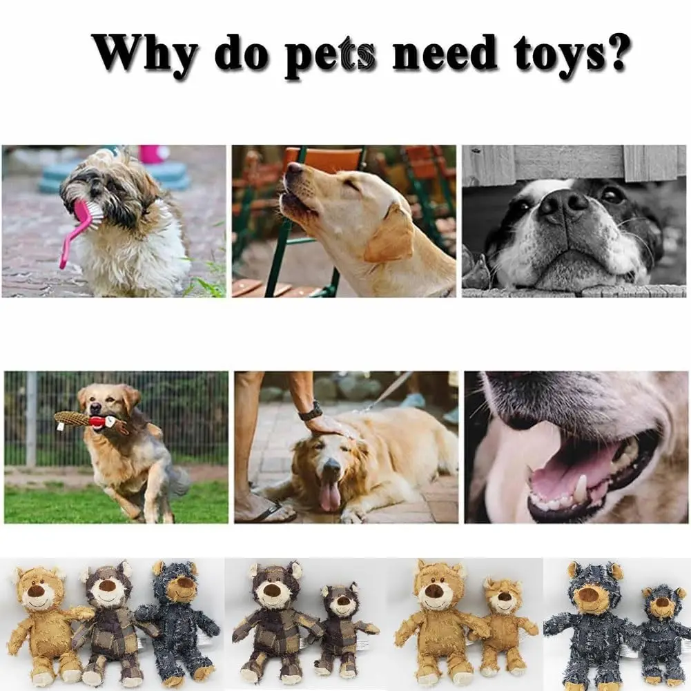 Petdom Extreme Bear Squeaky Training Interactive Play Pet Toy