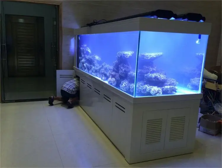 Customizable Large Size Aquarium Tanks Crystal Low Iron Ultra White