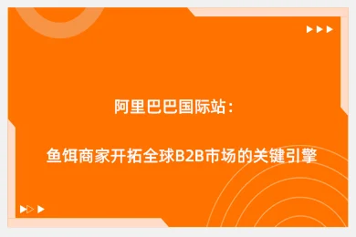 阿里巴巴国际站：鱼饵商家开拓全球B2B市场的关键引擎