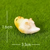 Belly Up Bird