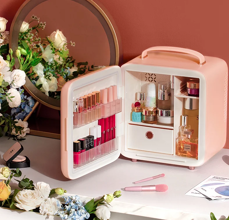 Cheap Makeup Fridge 9L Mini Refrigerator for Makeup New Home Portable Beauty Refrigerator Makeup