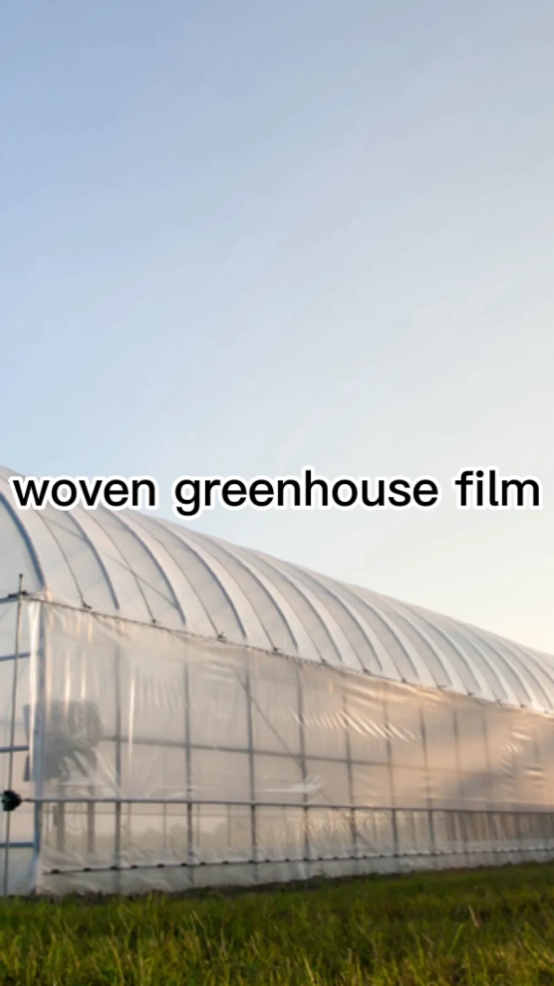 200 Micron Reinforced Woven Pe Plastic Greenhouse Film/plastic Sheet