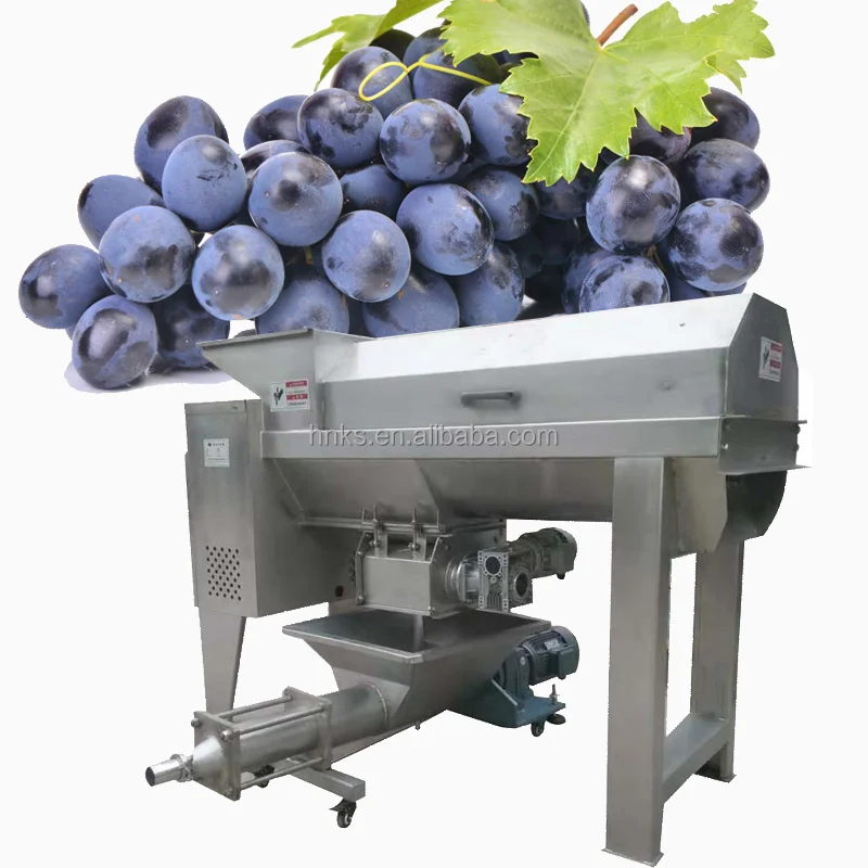 Fresh Grape Crusher Destemmer / Grape Stem Remover / Grape Destemmer ...