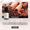 Cinnamon