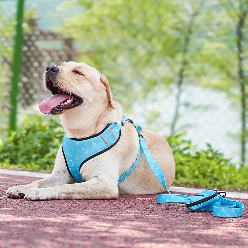 Dog Harness Custom Luxury Puppy Harness Adjustable Highest Quality Neoprene  Breathable Mesh Harness