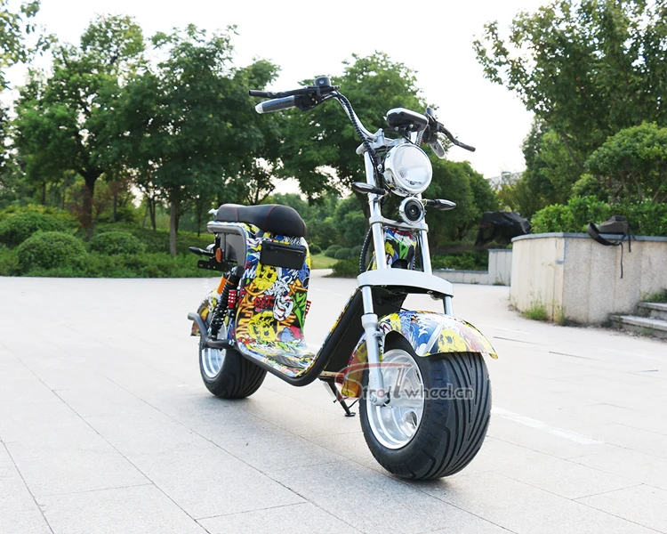 1000W Double Set Battery Big Wheel China Electric Scooter Citycoco