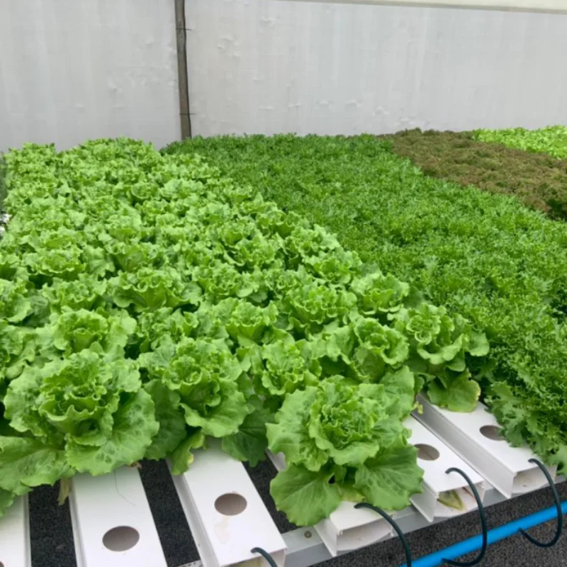 Indoor Nft Channels Garden Hydroponics Growing System Gutter Moving