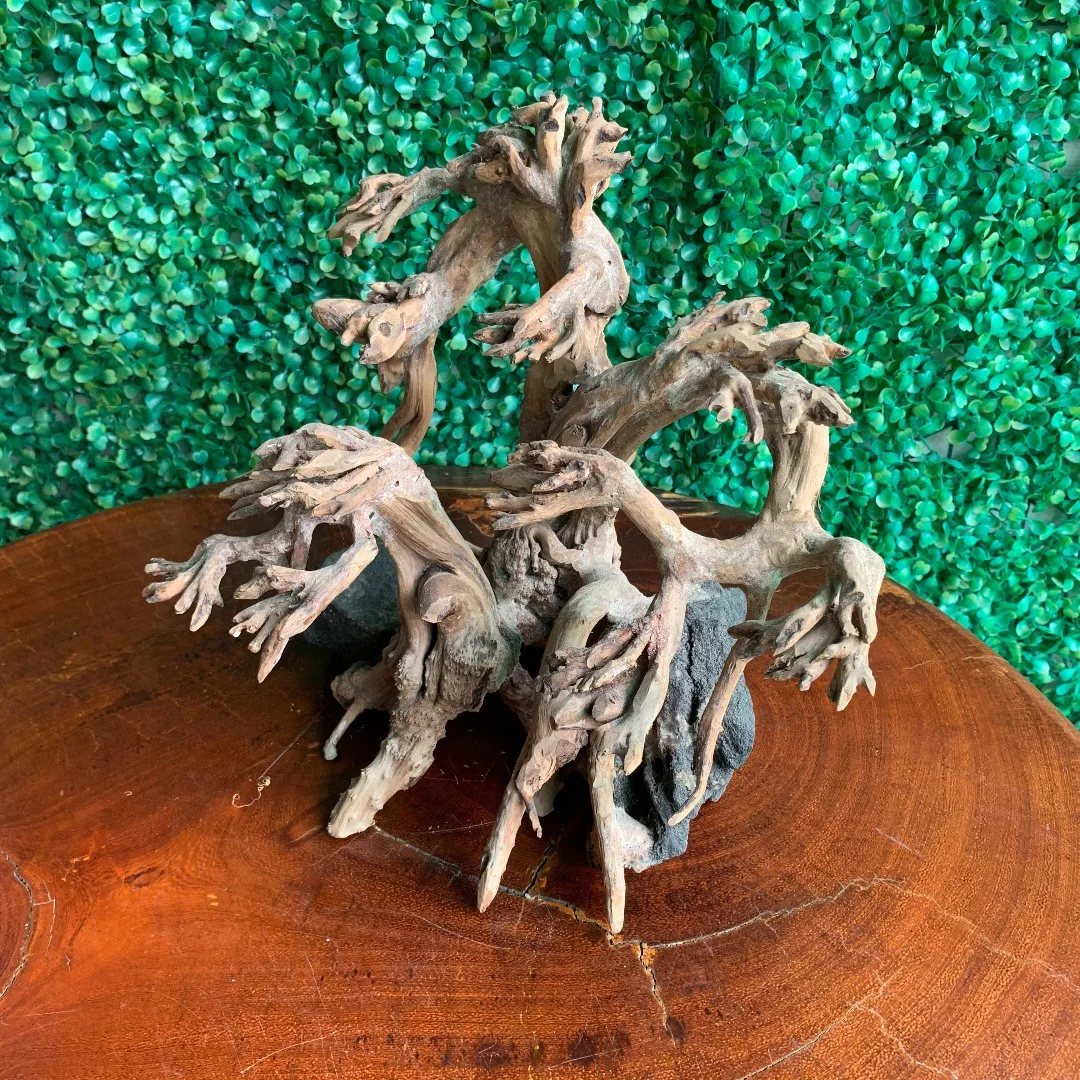 Superfish 60392/3884 Wood Bonsai Driftwood (Large) : Aazon.co.uk